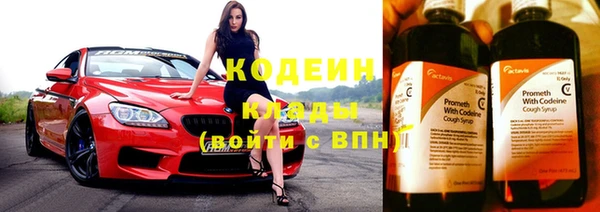 ГАЛЛЮЦИНОГЕННЫЕ ГРИБЫ Верея