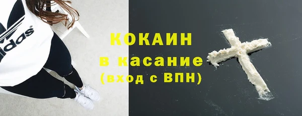 ГАЛЛЮЦИНОГЕННЫЕ ГРИБЫ Верея