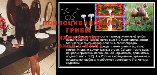 ALPHA PVP Вязьма