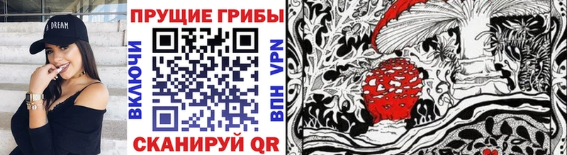 Галлюциногенные грибы MAGIC MUSHROOMS  Ершов 